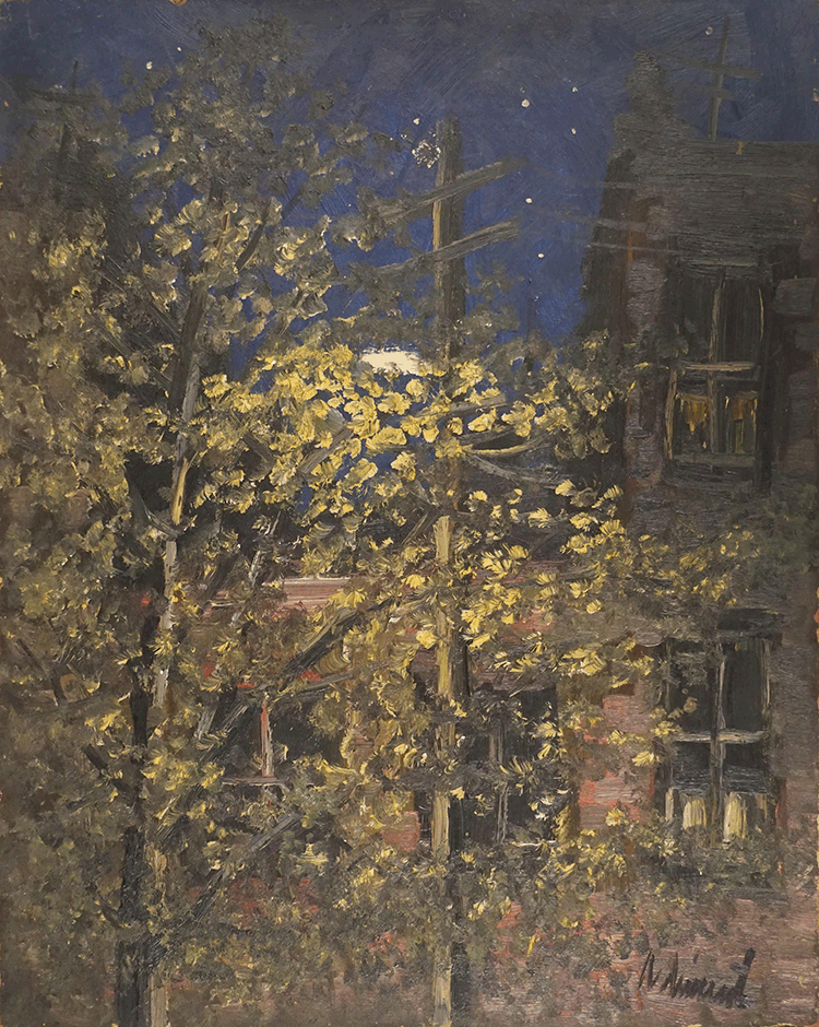 Trees in streetlight